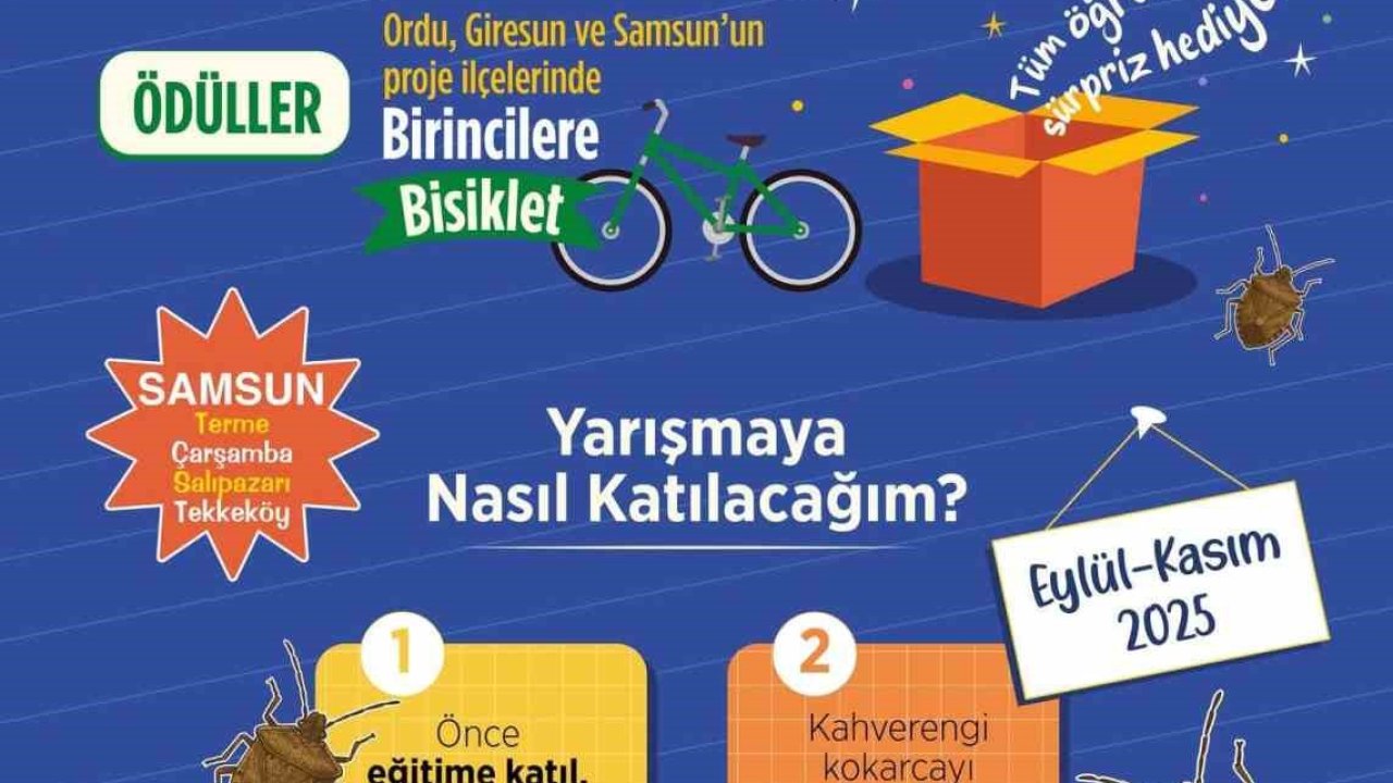 Samsun’da öğrenciler kokarca toplama yarışında