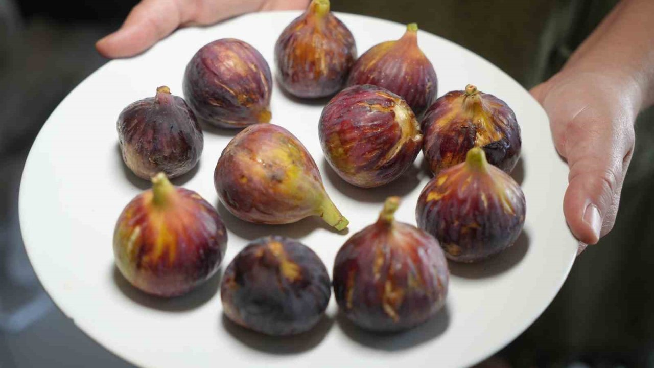 Daha sağlıklı yaşamak için inciri kabuğu ile yiyin