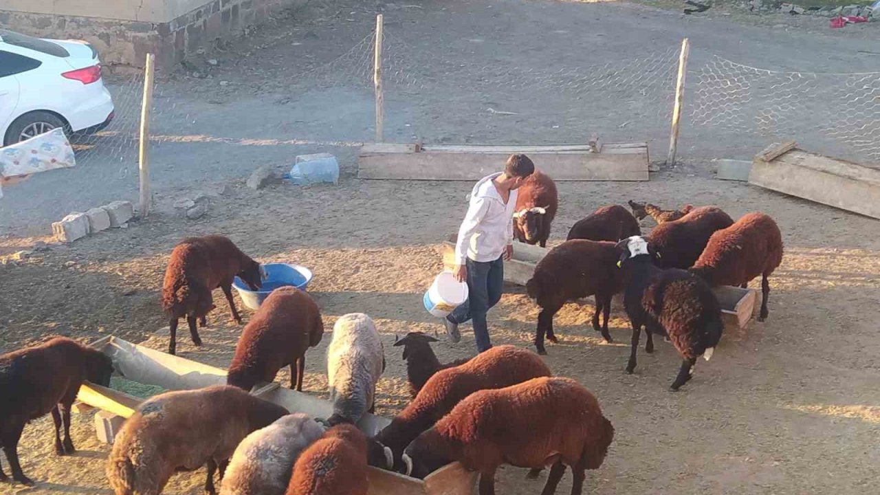 Patnos’ta besiciler kış hazırlığını sürdürüyor