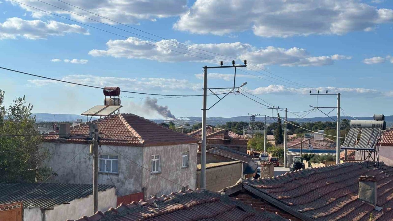 Çanakkale’de orman yangını çıktı
