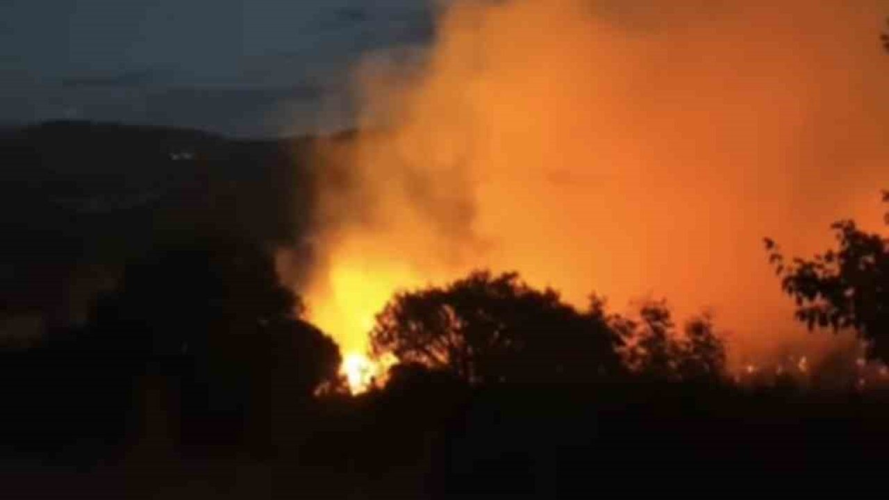 Yol kenarında başlayan yangın ormana sıçradı