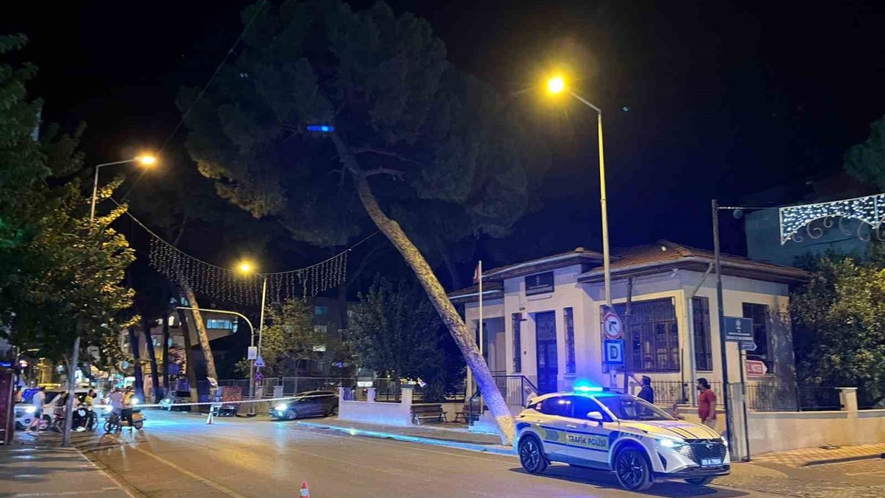 İncirliova’da kuvvetli rüzgar ağacı devirdi