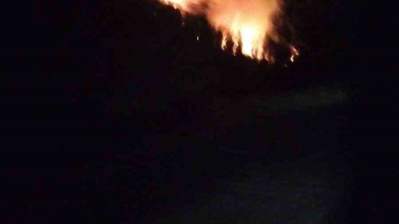 Köyceğiz’de orman yangını