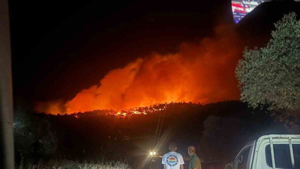 Milas’ta orman yangını müdahale devam ediyor