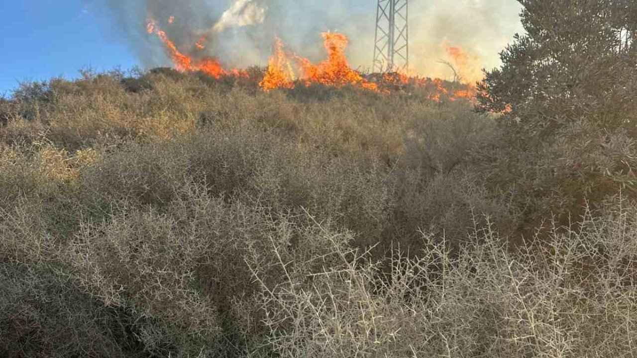Samandağ’da arazi yangını