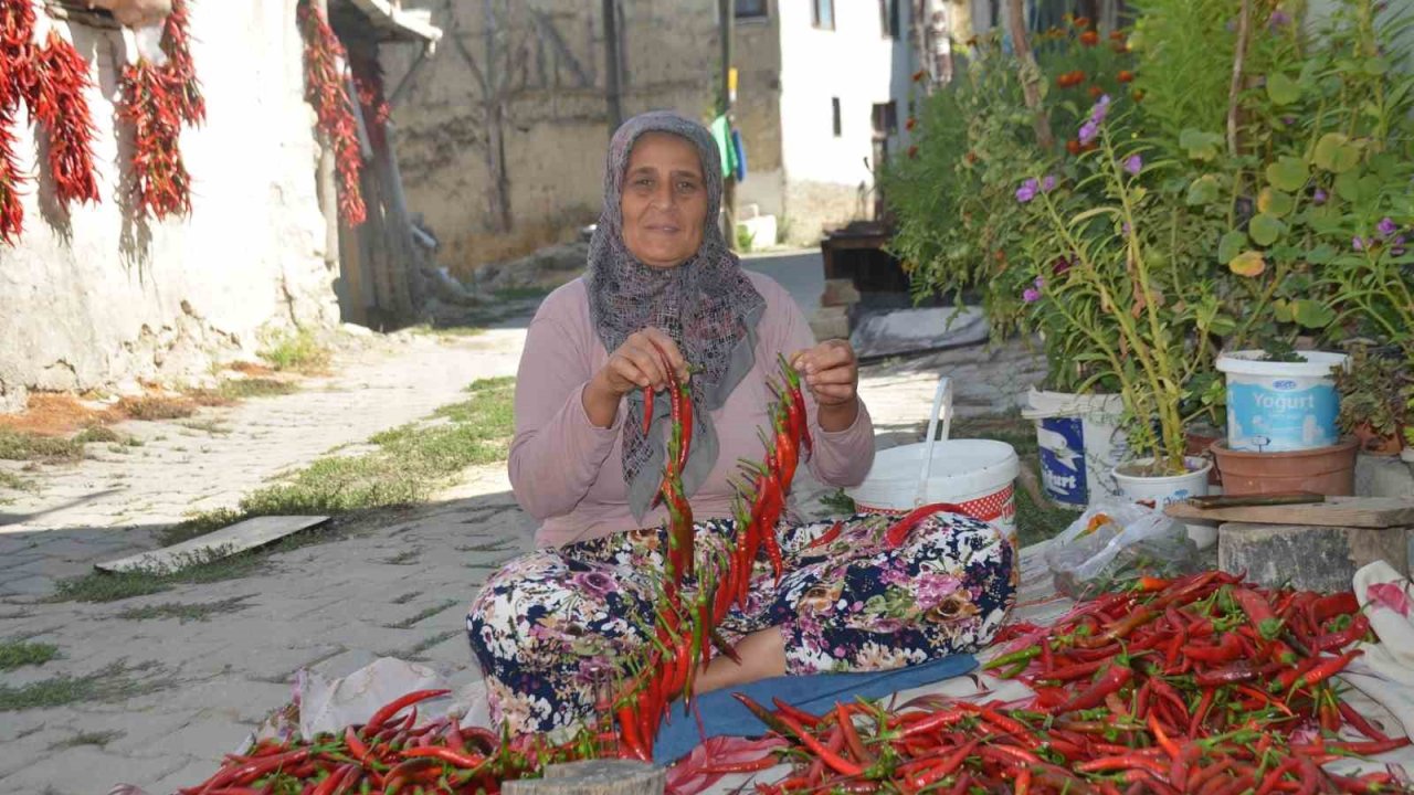 160 yıldır aynı tohumdan acı biber üretiyorlar