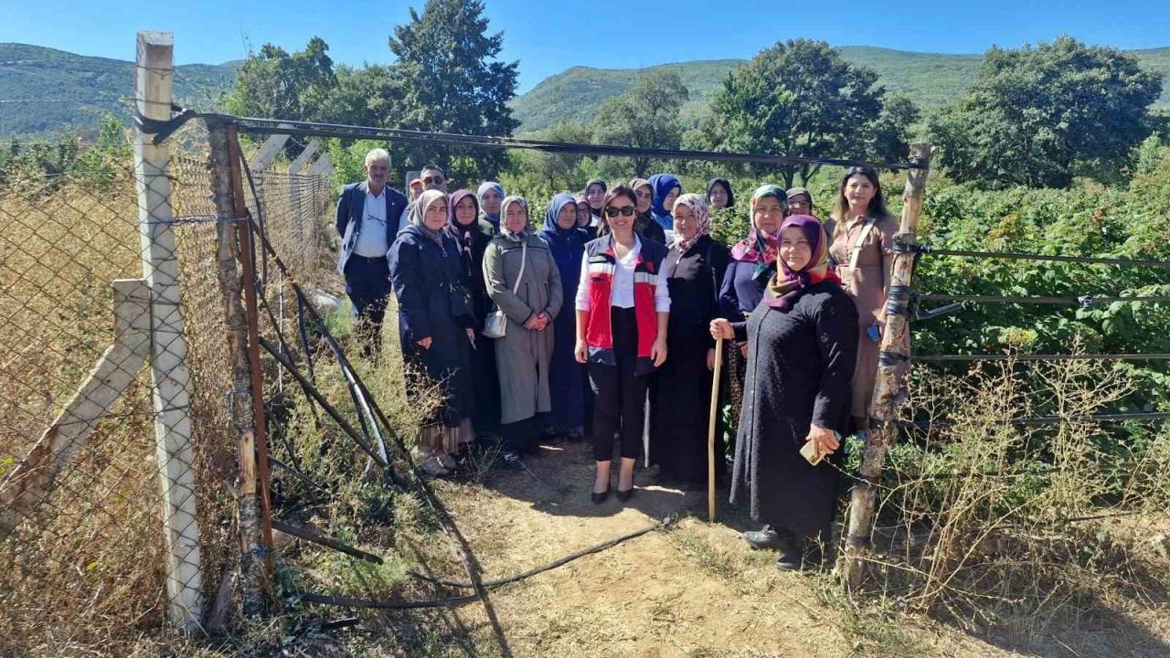 Aslanapa’da kadın çiftçiler için teknik gezi düzenlendi