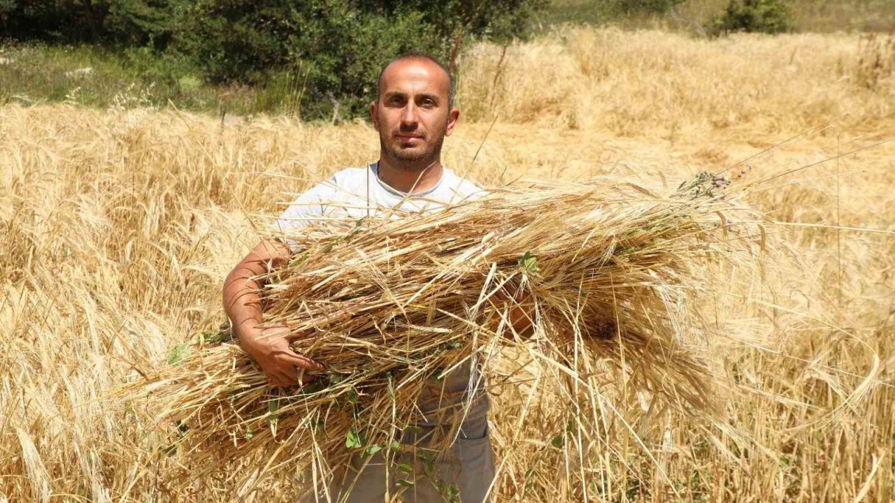 Megakenti bırakıp Ordu’da  tarıma yöneldi: 200 dönüm atıl araziyi tarıma kazandırdı