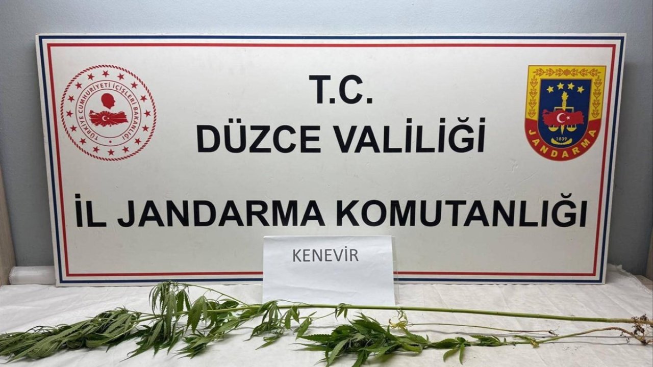 Jandarma’dan uyuşturucu operasyonu