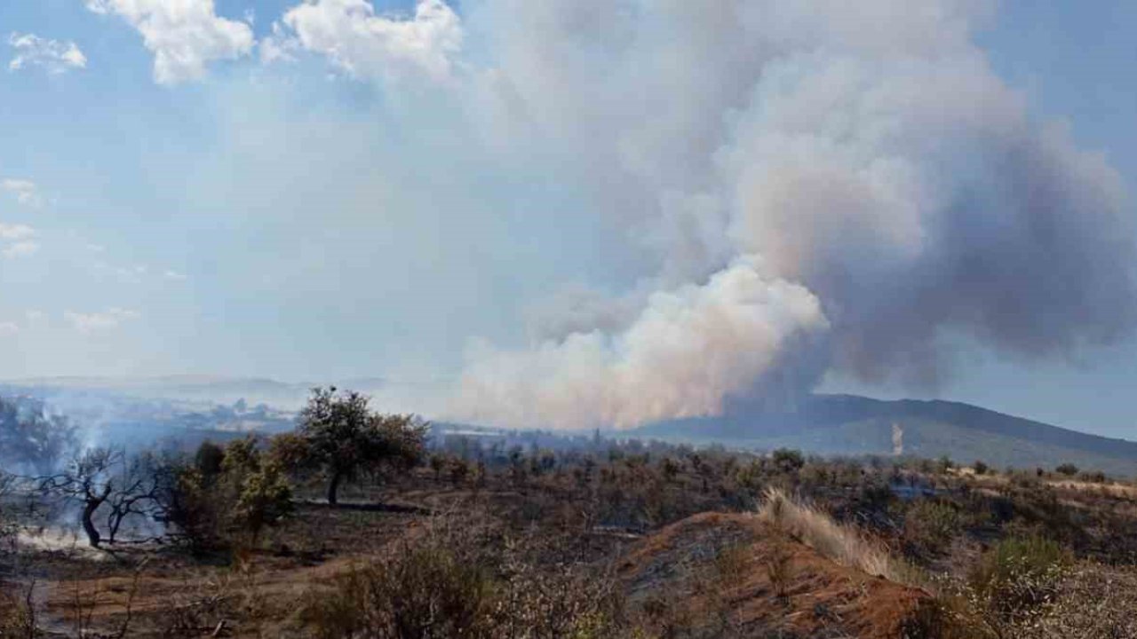 Çanakkale’de tarım arazisinde yangın