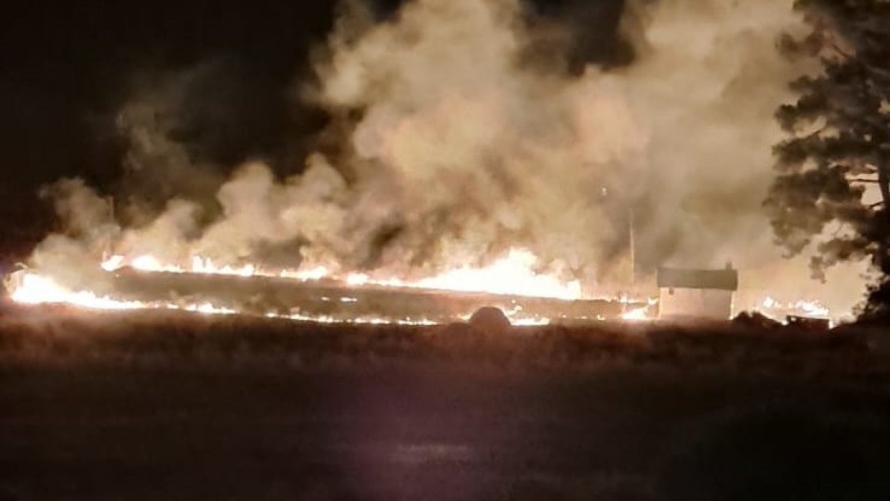 Ormanlık alana yakın mesafede yangın çıktı