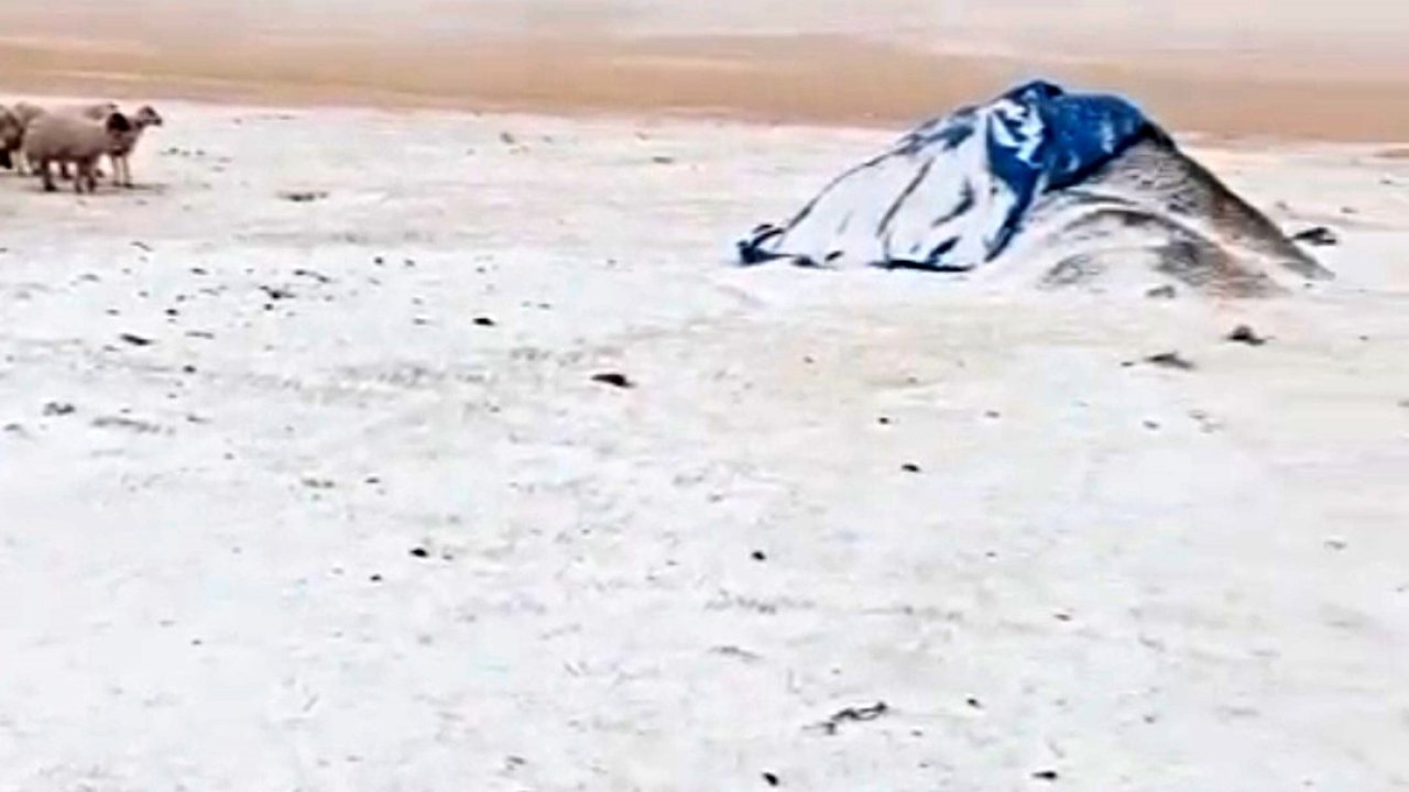 Diyadin’de Eylül’de yağan kar köyü beyaza bürüdü