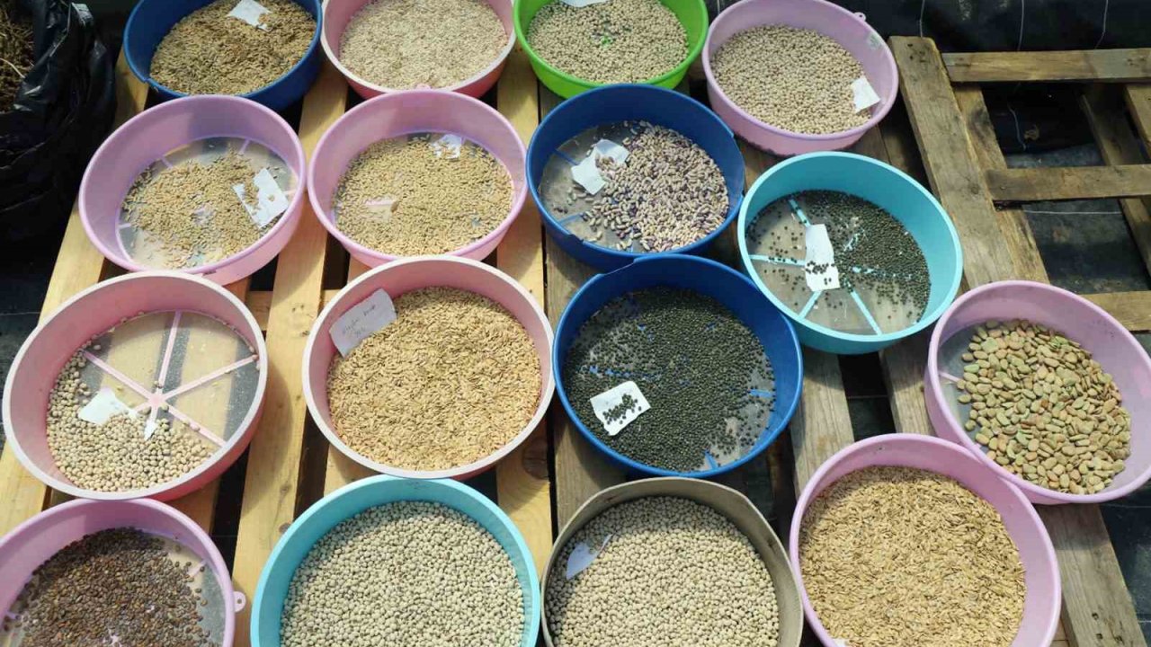 Muğla Büyükşehir 2026 yılında 4 Milyon ata tohumu dağıtımı hedefliyor