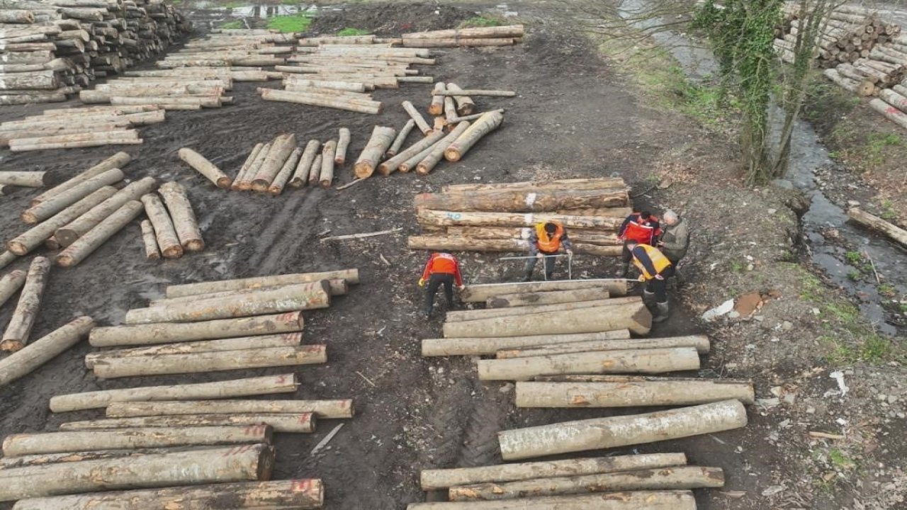 Düzce’den 9 bin 967,5 ton orman ürünü ihraç edildi