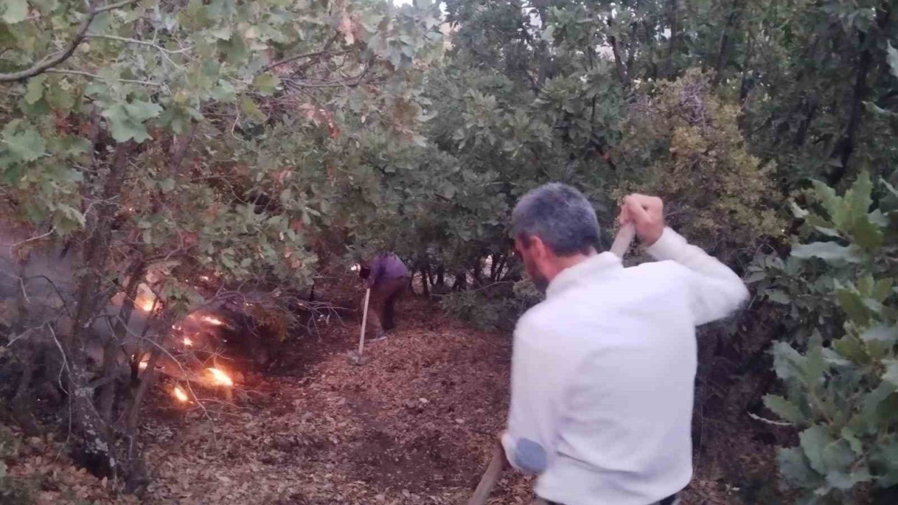 Elazığ’da ağaçlık alanda yangın