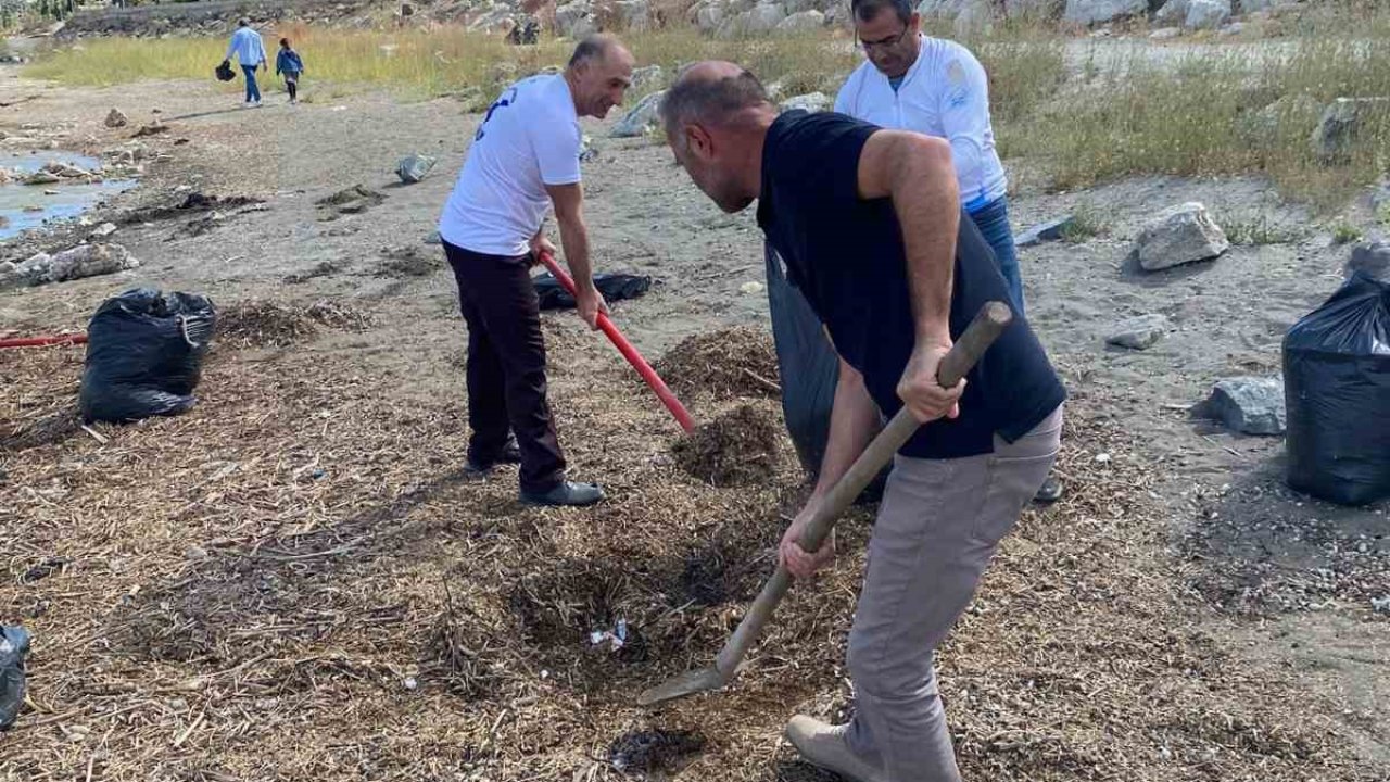 Doğaseverler Van Gölü sahilini temizledi