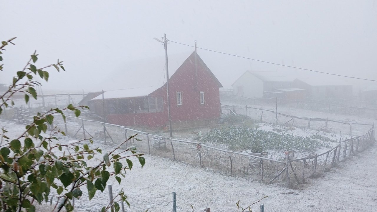 Doğu Karadeniz’in sahili ve iç kesimlerindeki şiddetli yağış yerini zirvelerde kara bıraktı
