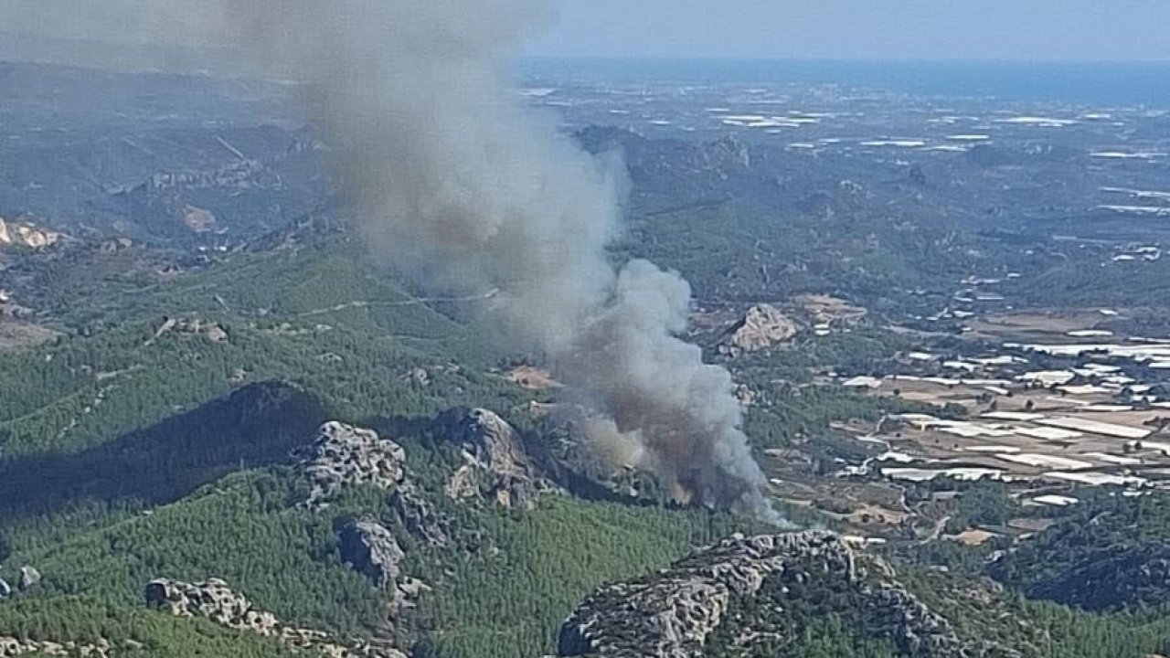 Serik’te ormanlık alanda yangın