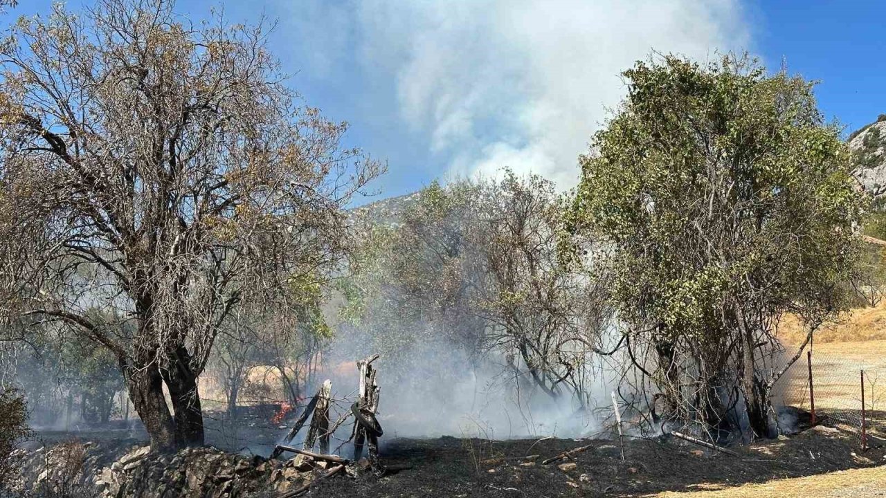 Akseki’de otluk yangın büyümeden söndürüldü