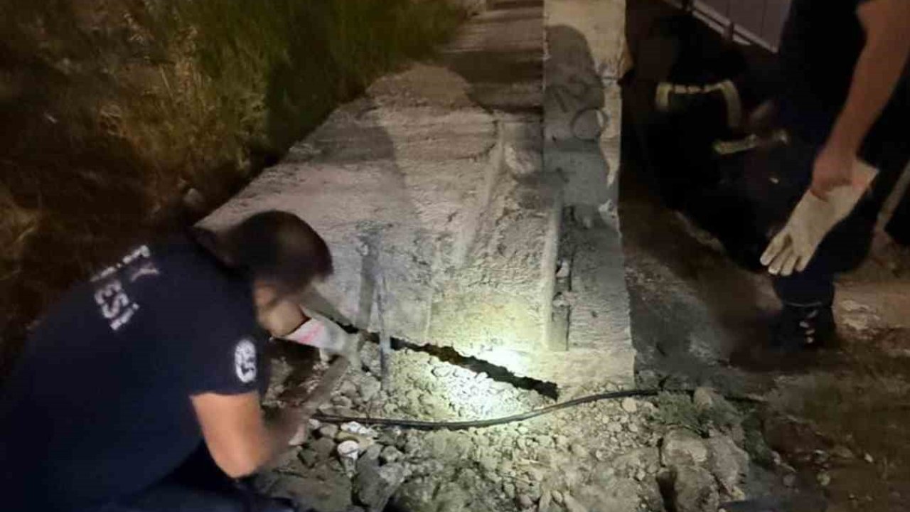 Antakya’da beton boru içinde sıkışan kedi kurtarıldı