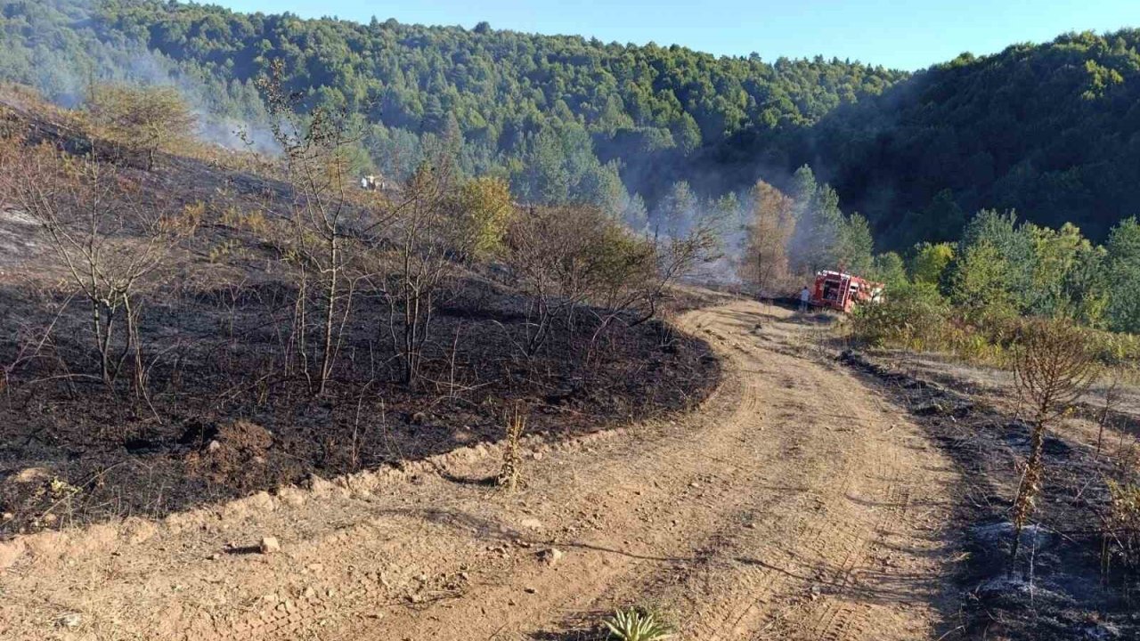 Pazaryeri Bozcaarmut’ta orman yangını