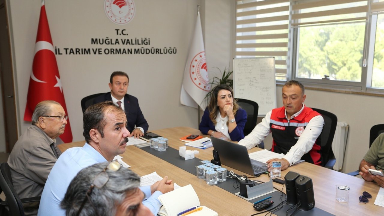 Muğla’da zeytin rekolte tahmini toplantısı yapıldı