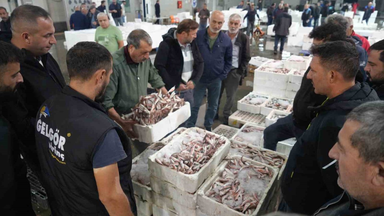 Balık mezadında hareketlilik: Kasalar dolusu balıklar kapışıldı