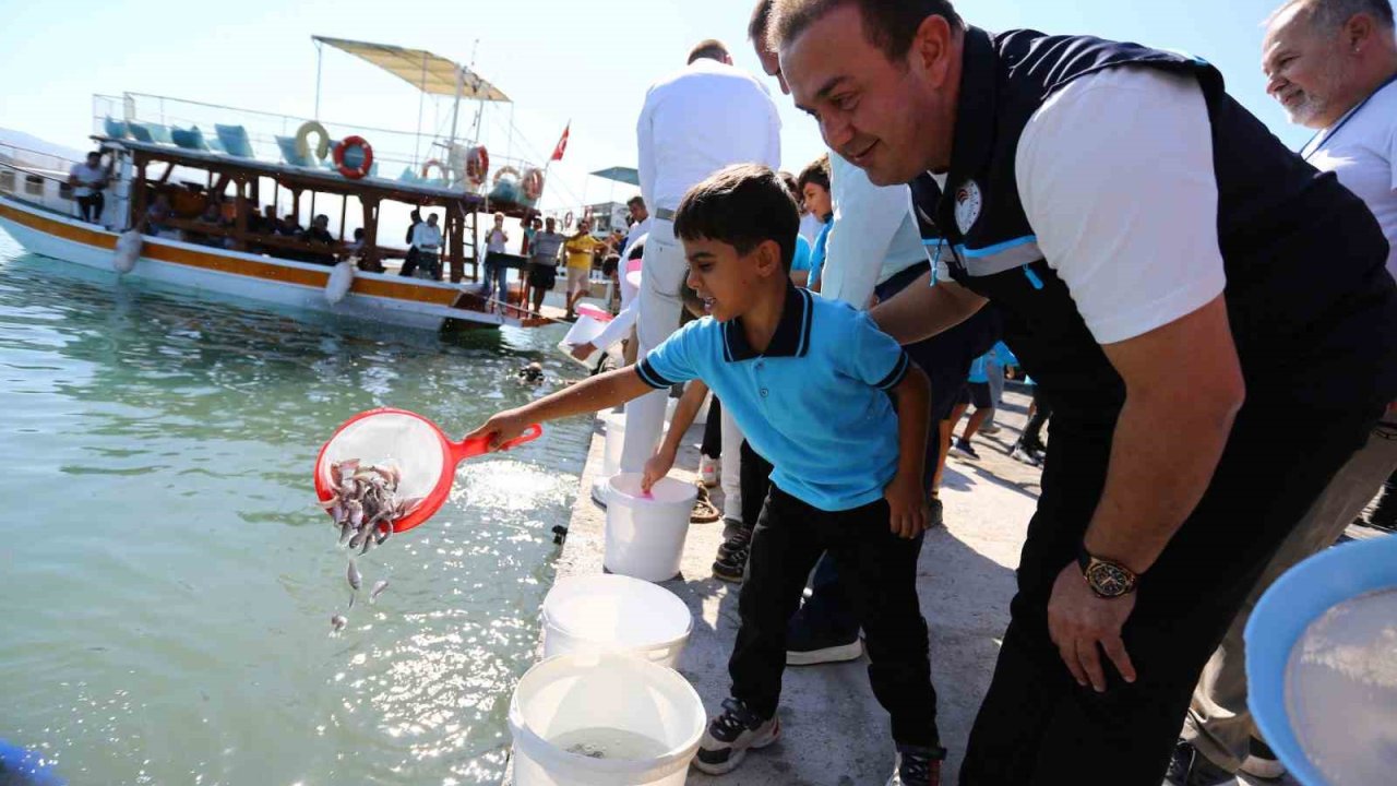 Milas Boğaziçi’ne 150 bin çipura ve 10 bin levrek yavrusu bırakıldı