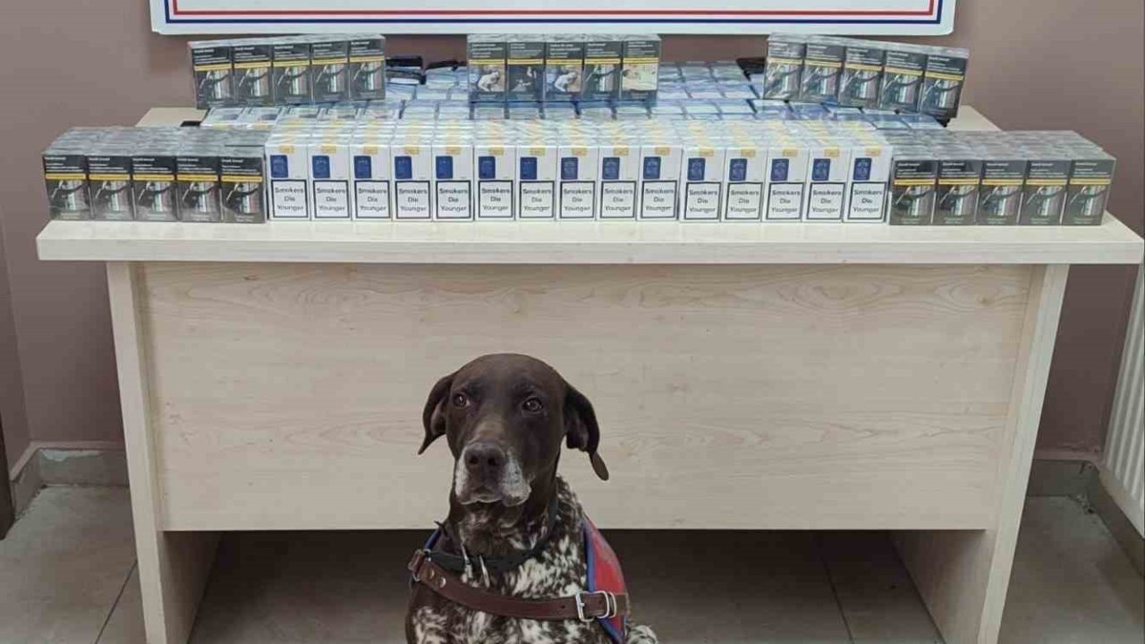 Kayseri’de kaçak sigara operasyonu