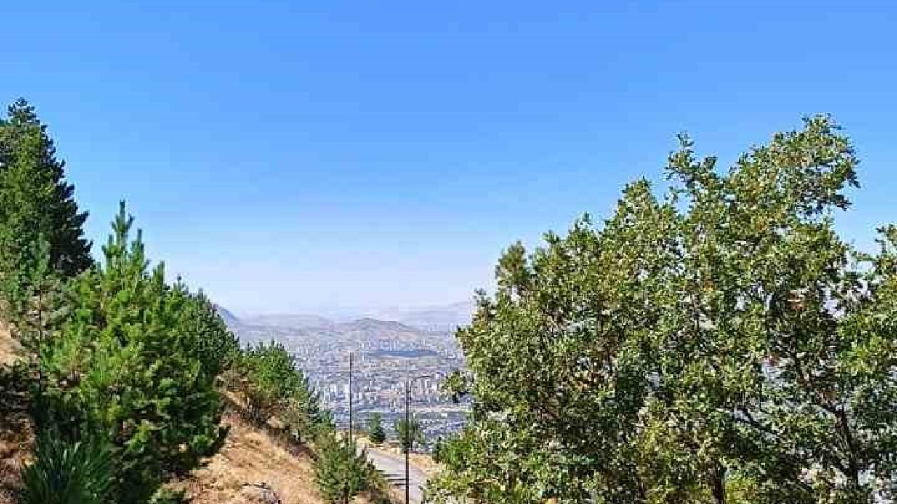 ERÜ öğrencileri hem zirve tırmanışı hem  çevre temizliği yaptı