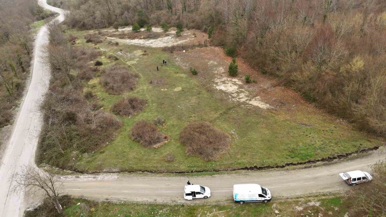Başkan Yardımcısı Yıldız: "Bu hayvanlar, can dostlarımız"