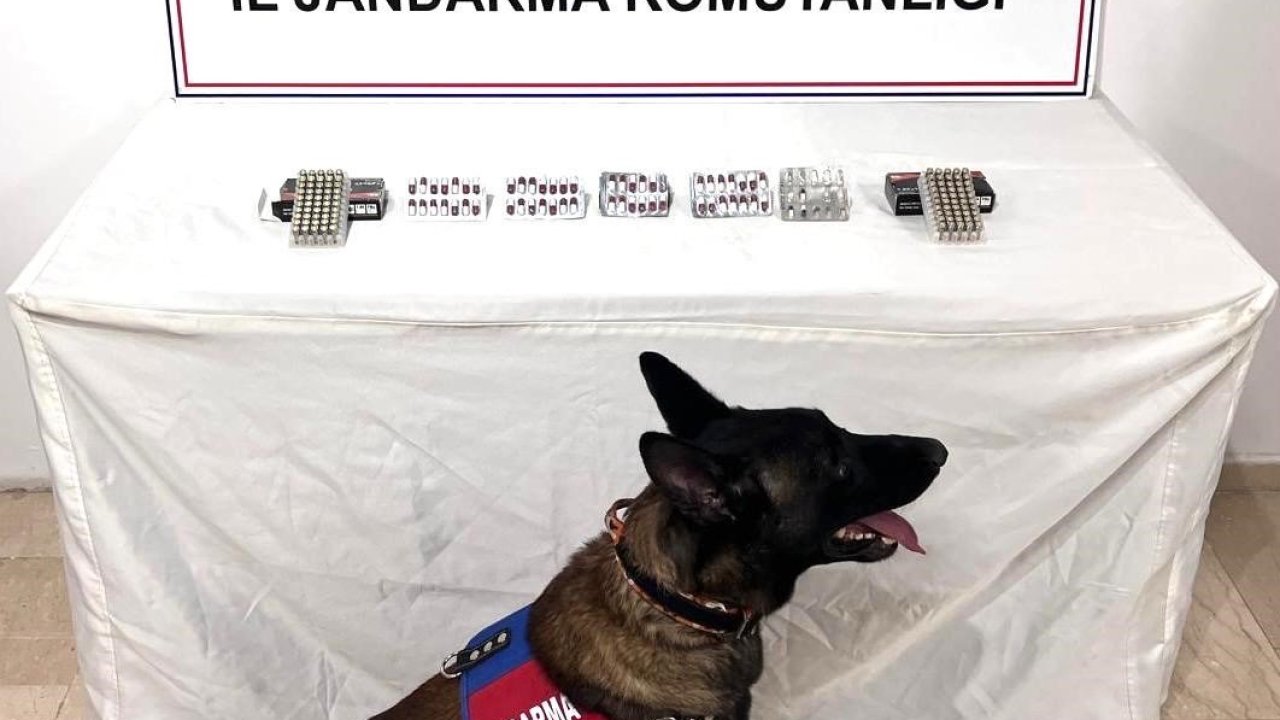 Şanlıurfa’da uyuşturucu madde ele geçirildi