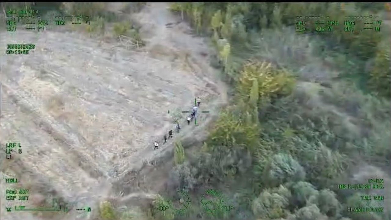 Diyarbakır’da piyasa değeri 1 milyar lira olan 12 bin 865 kök kenevir ele geçirildi