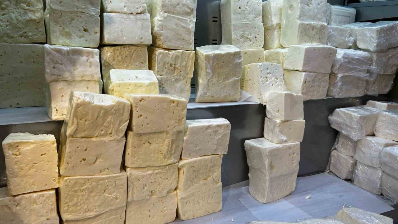 Denizli’de peynir üreten firmanın 5 ürününde yağ oranı düşük çıktı