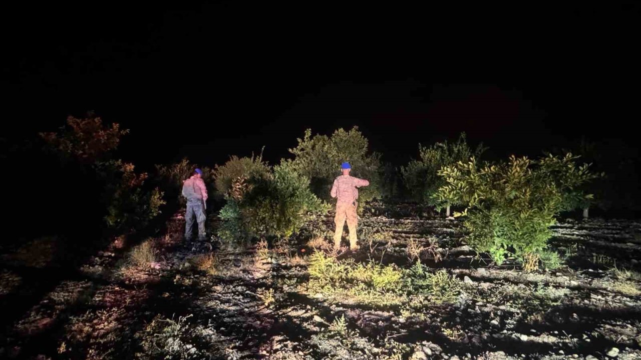 Jandarma ekipleri, narenciye hırsızlarına karşı devriyede