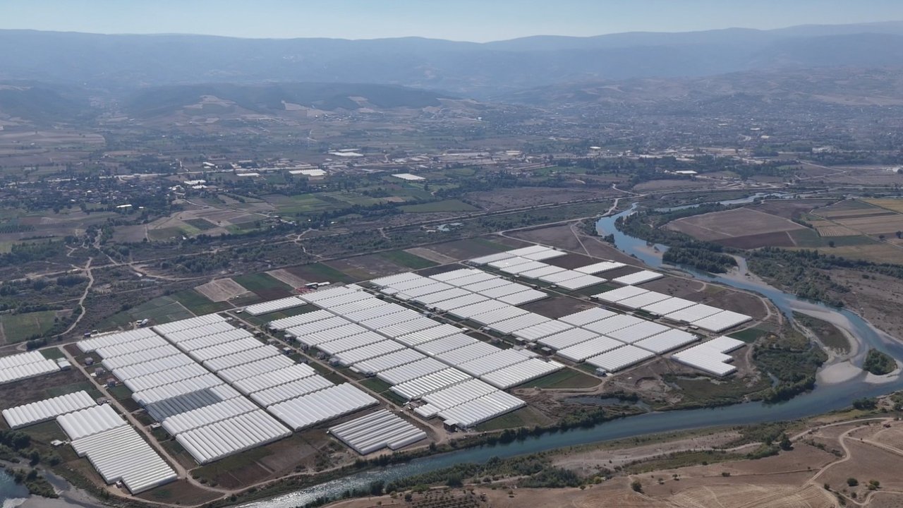 Tokat çiçekçilikte bölge lideri oldu; 600 dekarda 20 çeşit çiçek yetiştiriliyor