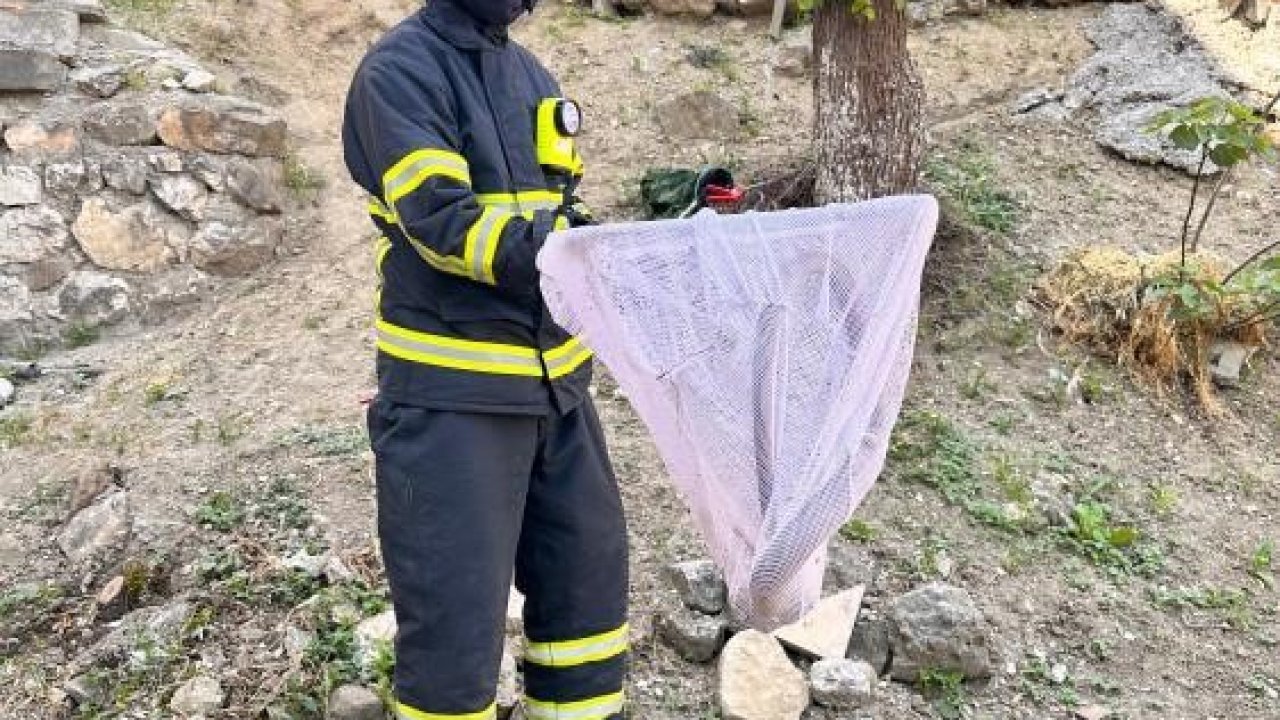 Bilecik’te caddede yakalanan ’oluklu kertenkele’ doğaya salındı