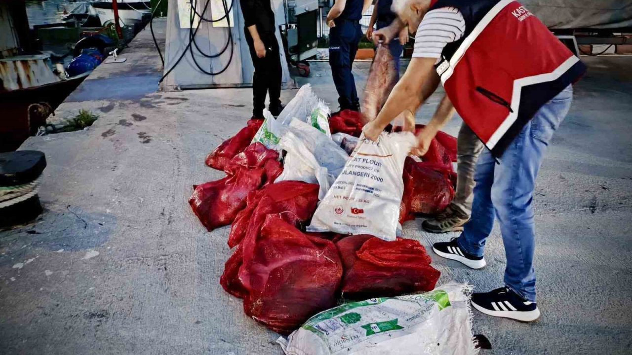 Kastamonu’da kaçak avlanan 142 kalkan balığına el konuldu