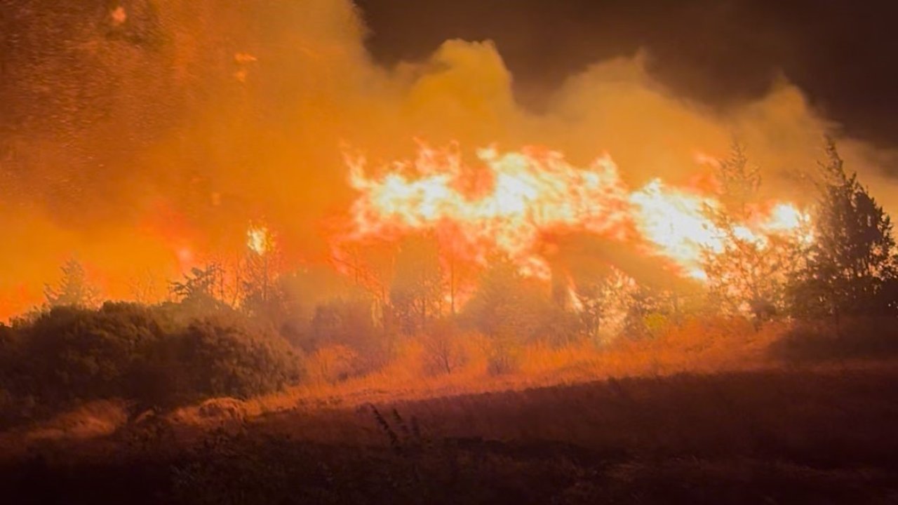 Bursa’daki orman yangını Akçasusurluk köyüne yaklaştı, yerleşim alanları boşaltıldı