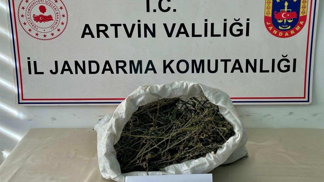 Artvin’de uyuşturucu operasyonu