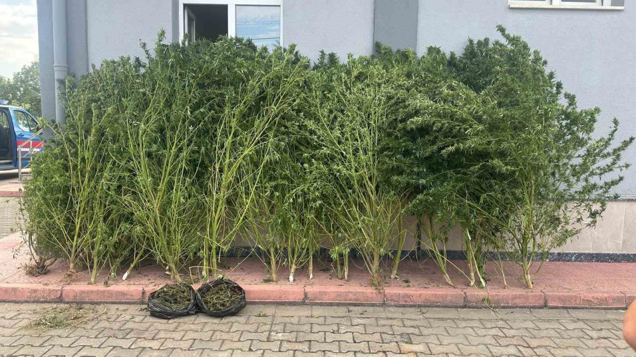 Bursa’da uyuşturucu operasyonu