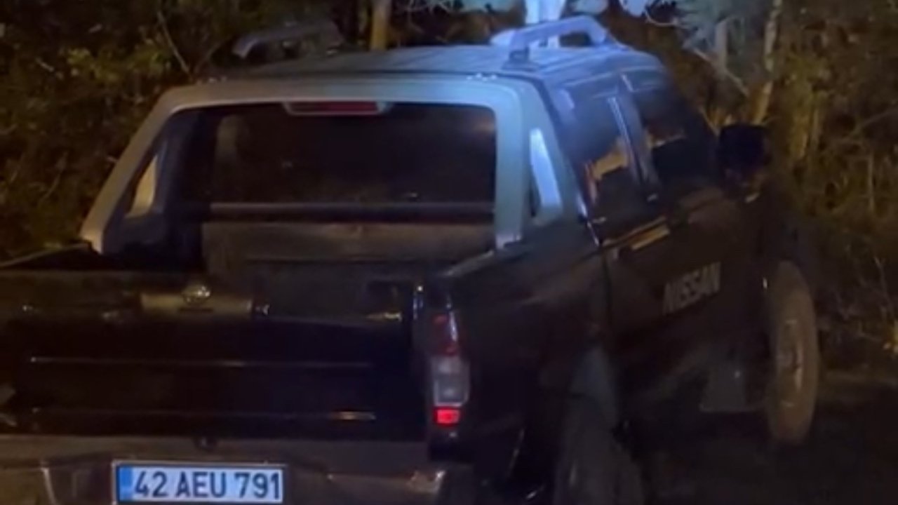 Yüksekova’da dost canlısı tilki: Önce arabanın üzerine çıkıyor, sonra elle besleniyor