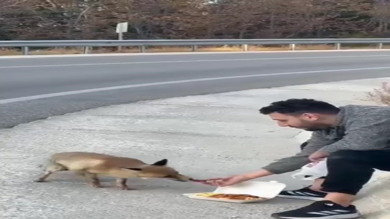 Uludağ yolunda sıra dışı karşılaşma