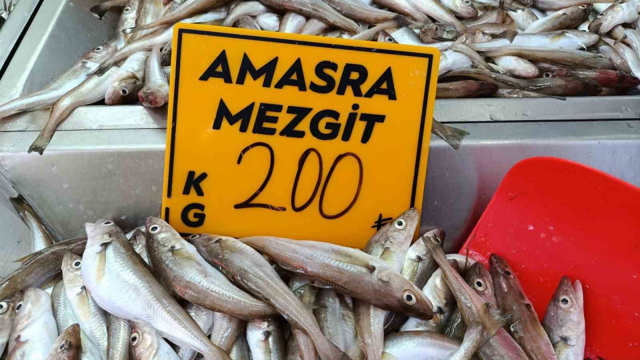 Balıkçılar palamut için "kestane karası"nı bekliyor