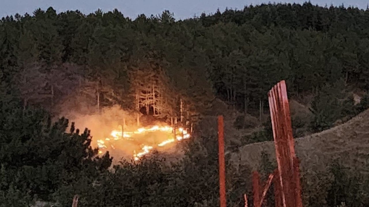 Bingöl’de çıkan orman yangını kontrol altına alındı