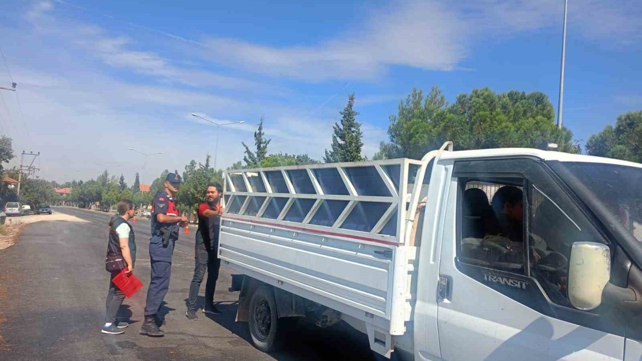 Uşak’ta şap hastalığına karşı denetimler hız kesmeden sürüyor