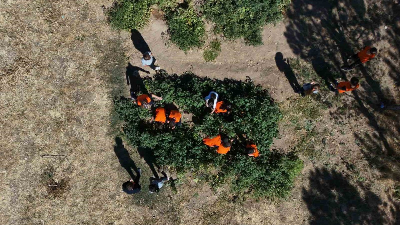 Kayseri’de ilkokul öğrencileri meyve bahçelerinde üretim yapıyor