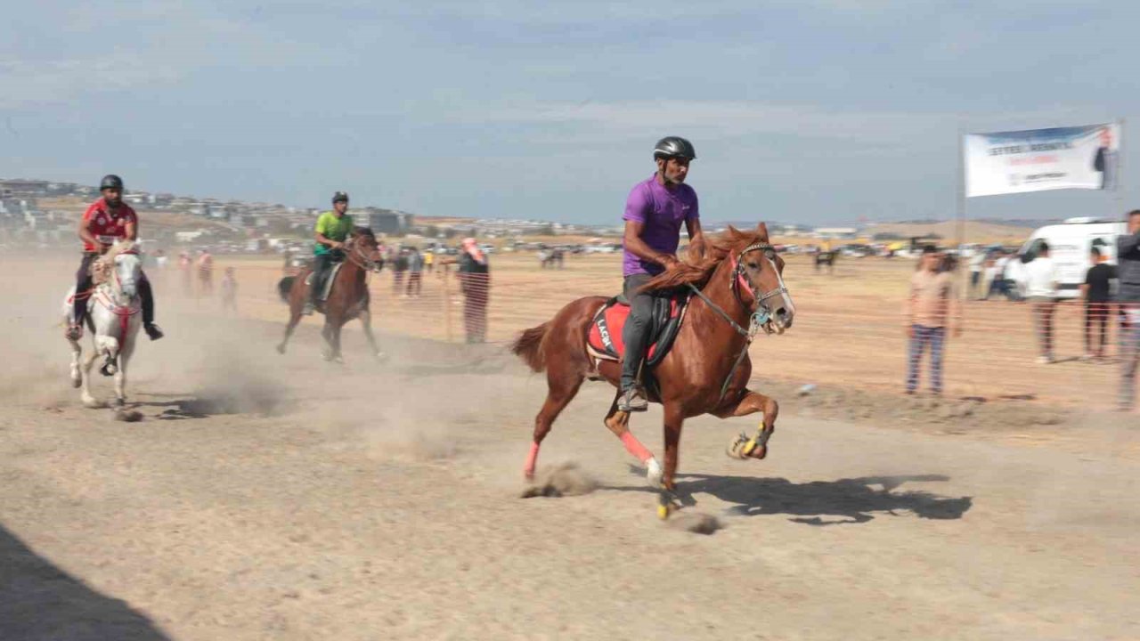 Türkiye’nin şampiyon atları Menemen’de yarıştı