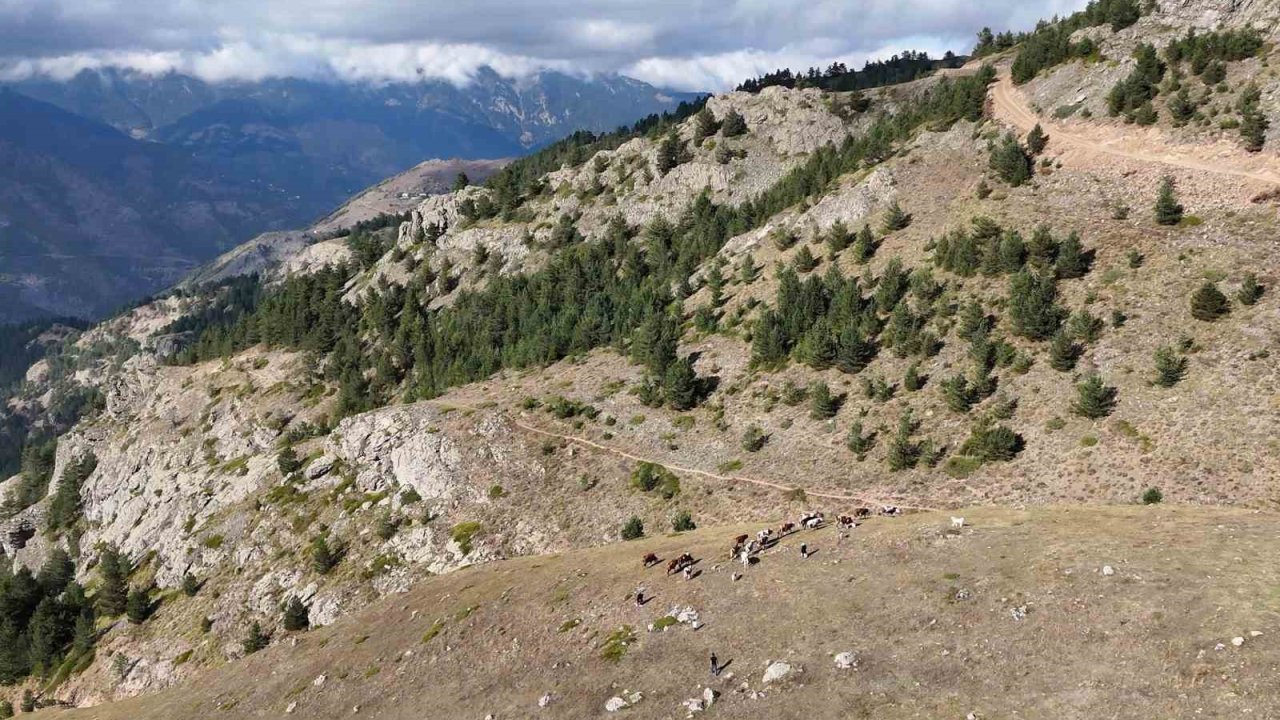 Gümüşhane’de genç muhtarın Türkiye’ye ilham veren başarı hikayesi