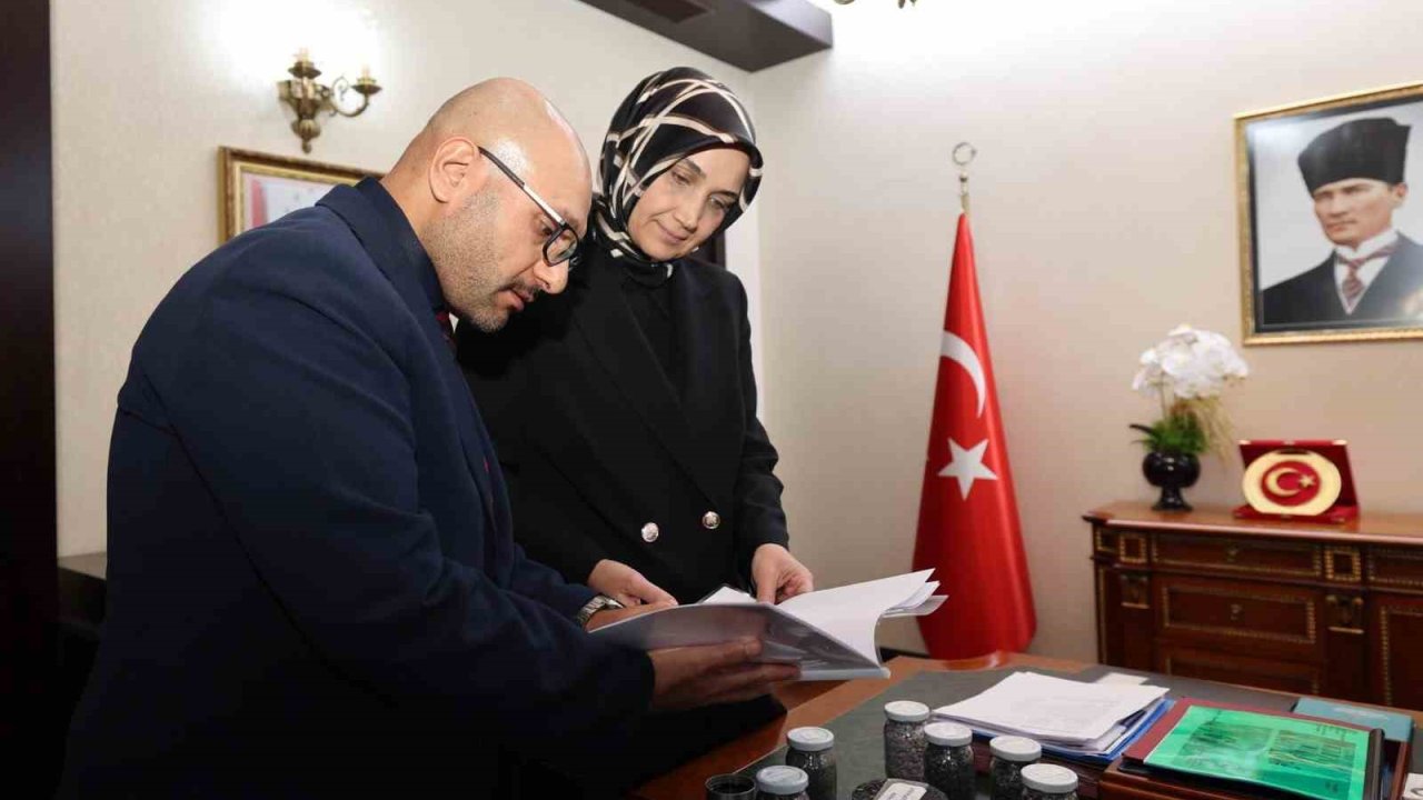 Plastik atıklardan asfalt yapılacak